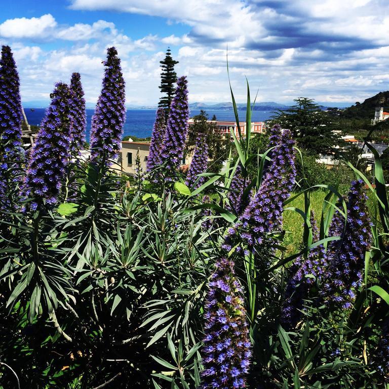 Hotel & Residence Matarese Casamicciola Terme Εξωτερικό φωτογραφία