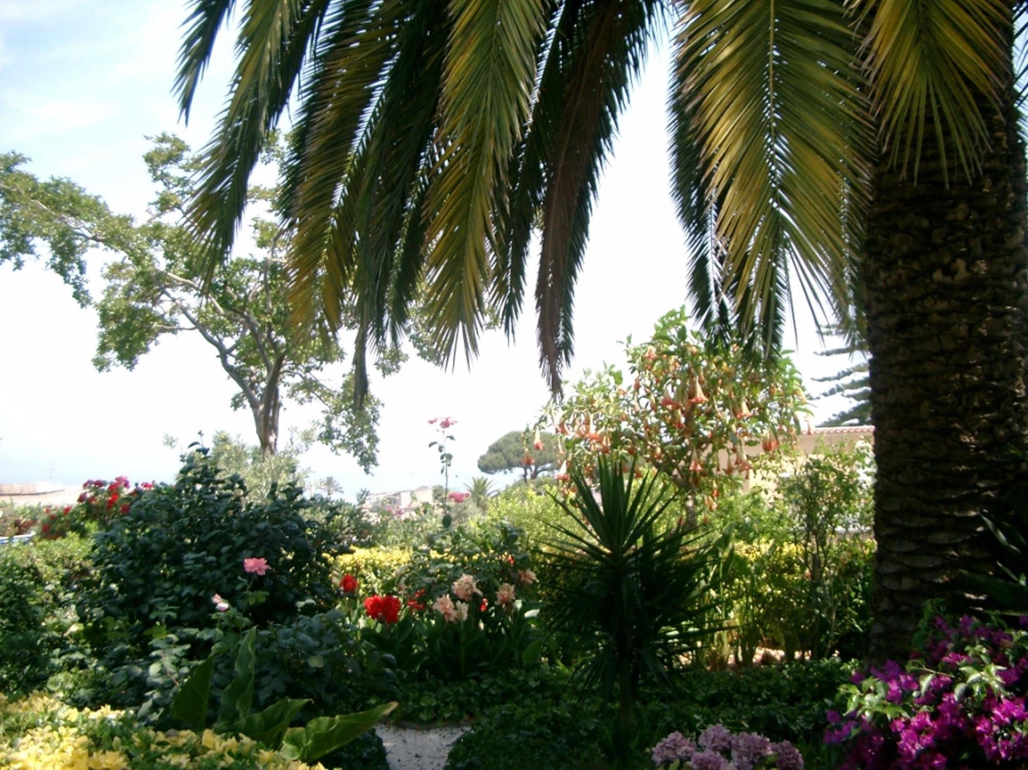 Hotel & Residence Matarese Casamicciola Terme Εξωτερικό φωτογραφία